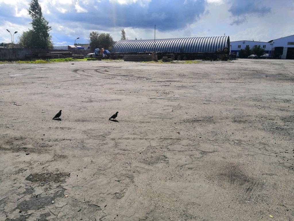 1 гектар земли. земля 1 гектар аренда. ижс в синапном.